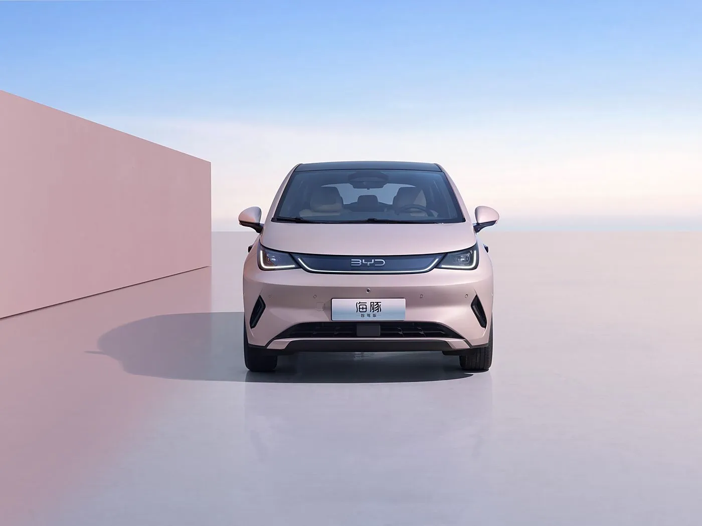 스마트 기술이 적용된 BYD 돌핀 어반 스타일 미니 전기 해치백 패션 에디션 신에너지 차량