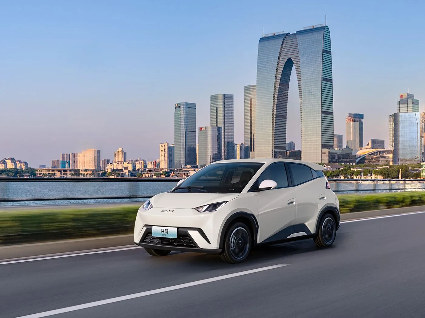 BYD 갈매기 EV 해치백 미니 스마트 SUV 전륜 구동(후면 카메라 포함) 리튬 핫 세일로 구동되는 신에너지 차량