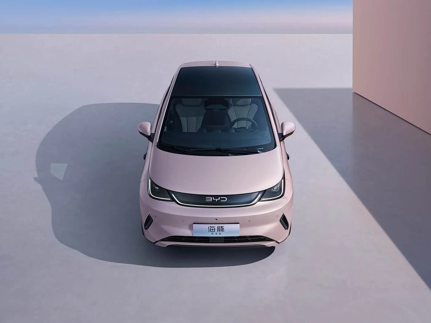 스마트 기술이 적용된 BYD 돌핀 어반 스타일 미니 전기 해치백 패션 에디션 신에너지 차량